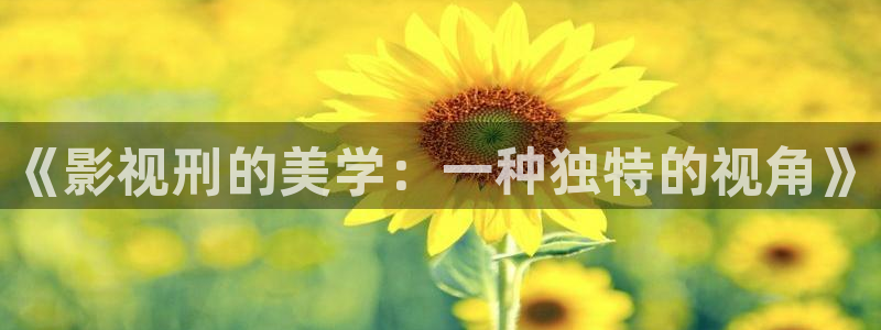 天堂最大神马午夜寂寞影院：《影视刑的美学：一种独特的视角》