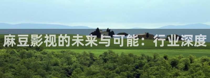 神马影院午夜激情场：麻豆影视的未来与可能：行业深度